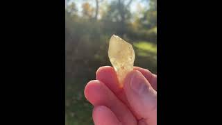 ✨Gold Tektite SALE✨ crystalsquared12etsycom tektite libyandesertglassyoutubeyoutuber [upl. by Ellett997]