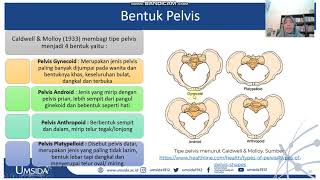 VIDEO SERI  4 BIDANG HODGE LIGAMENT PELVIS [upl. by Eniarral]