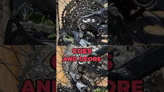 CUES vs Deore What’s Best For You mtb shorts [upl. by Nired831]