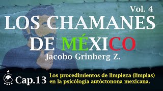 Cap 13 Los procedimientos de limpieza limpias en la PAM  LOS CHAMANES DE MÉXICO Vol 4 [upl. by Cogan]