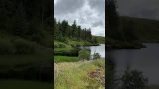 Bigfoot spotted in Banagher Forest  21st July 2024 [upl. by Damle256]