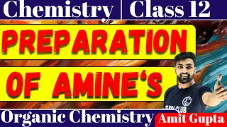 Preparation of Amines  Preparation Of Amines Class 12  Amines  Important Topics  Amit Gupta [upl. by Davena177]