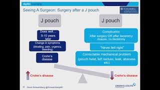 Mayo Clinic Explains Crohn’s Disease [upl. by Akeim926]