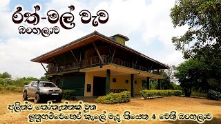 Rathmal Wewa Wildlife Bungalow  Review  Lunugamwehera National Park  Sri Lanka [upl. by Eelymmij298]