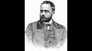 Émile Zola  La Fortune des Rougon Analyse [upl. by Lecrad976]