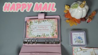 Happy Mail  Gorgeous Wedding Savings Challenge Box SavingwithAlicja [upl. by Aniaj]