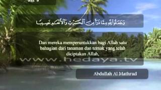 058  Juz 8  Al Anam 127140  Syaikh Abdullah AlMathrud [upl. by Sinnal]