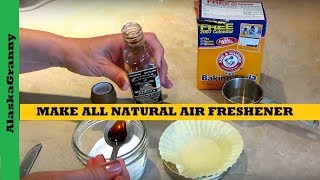 How To Make Air Freshener From Natural Ingredients Cleaning Solutions Tips Tricks Hacks [upl. by Amory]