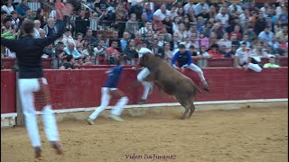 Concurso de anillas Zaragoza  13102024  Jesus Tanco e Ioritz Goñi  HD [upl. by Xel776]