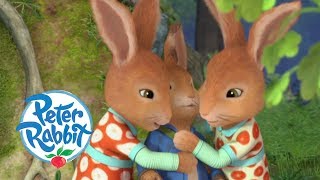 Peter Rabbit  Flopsy and Mopsy Teach Peter a Lesson  Cartoons for Kids [upl. by Eugatnom]