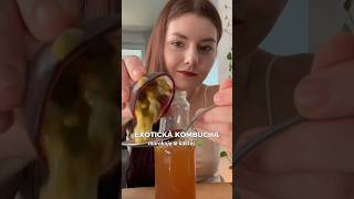 Kombucha z kaktusu🌵kombucha ovocie zdravastrava zdraverecepty [upl. by Yellah]