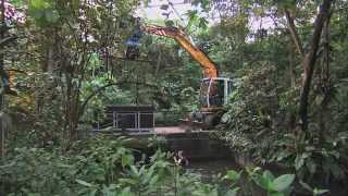 Verhuizing zeekoe naar Parijs  Burgers Zoo Natuurlijk  Arnhem [upl. by Kahlil]