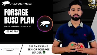 Forsage Busd Complete Plan By Sir Anas Sahb Online Work in Pakistan [upl. by Annod909]