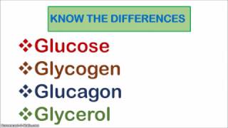 Glucose Glycogen Glucagon and Glycerol [upl. by Gautious]