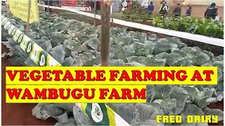 WAMBUGU FARM SHOW 2023 NYERI COUNTY  Vegetable section [upl. by Retsbew]