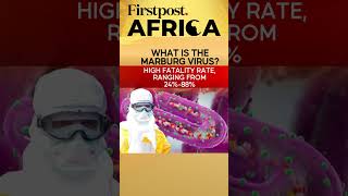 After Mpox Marburg Virus Scare  Firstpost Africa [upl. by Assilen]