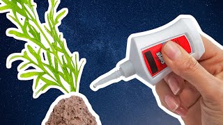 How to Aquascape with Super Glue – 8 Tips [upl. by Ollecram]