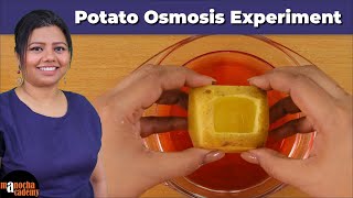 Osmosis Experiment [upl. by Karla]