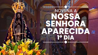 Novena a Nossa Senhora da Conceição Aparecida  1º Dia  Padre Alessandro Bobinton [upl. by Rrats953]