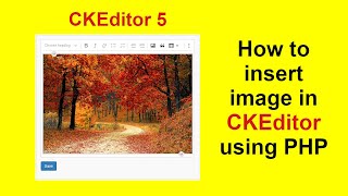 Enhance Collaboration in Your App with CKEditor 5 [upl. by Michaella]