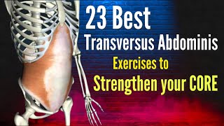 Preventing and eliminating low back pain Strengthening the Transversus Abdominis  23 TvA exercises [upl. by Pen]