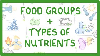 GCSE Biology  What are Nutrients Carbohydrates Lipids Proteins Vitamins amp Minerals 15 [upl. by Sato]