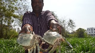 Crab Fry Cooking In My Village By Raju Master II Yummy Tasty Fry [upl. by Zaragoza]