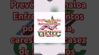 ‼️SINALOA PREVÉN ENFRENTAMIENTOS POR AGUA CARESTÍA Y ESCASEZ DE ALIMENTOS‼️noticias sinaloa [upl. by Semreh]