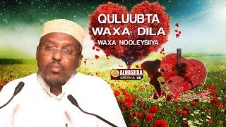 QULUUBTA WAXA DILA amp WAXA NOOLEEYA ᴴᴰ┇Sh Mustafe Xaaji Ismaaciil [upl. by Tletski788]