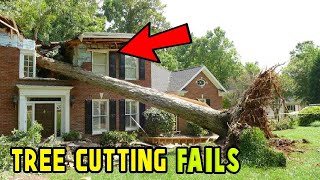 7 EXTREME Dangerous Tree Fails Compilation 202223  Tree Falling in House [upl. by Eidnyl]