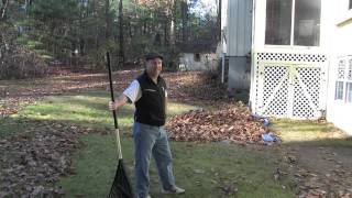 How To Properly Rake Leaves [upl. by Atinat]