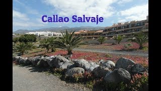 Callao Salvaje Costa Adeje  Tenerife [upl. by Arytahs284]