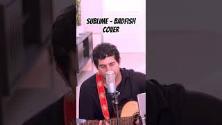 Sublime  BadFish Cover jorgeluiscreative sublime viralshorts coversong viralvideo musician [upl. by Oleg]