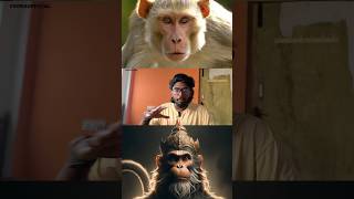 😱God or Monkey😱 Watch this veeraofficial tamil [upl. by Broderic735]