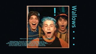 【playlist from Wallows】 우리 딱 90살까지만 어리광 피우자 [upl. by Honoria]