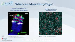 myTags in situ Hybridization Probes  Applications and Services [upl. by Olnek568]