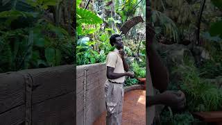 Tribute to Zookeepers  Edinho Kongo Loros [upl. by Nosittam]