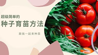 种子育苗催芽方法｜浸种催芽｜温度｜育种｜播种｜出苗｜种子发芽方法 [upl. by Ioyal]