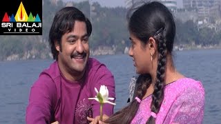 Yamadonga Movie JrNTR and Priyamani Funny Scene  Jr NTR Priyamani  Sri Balaji Video [upl. by Janos]