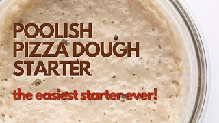 How to Make a Poolish Pizza Dough Starter [upl. by Isolt]