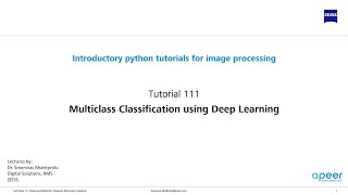 Tutorial 111  Multiclass Classification using deep learning [upl. by Sankey144]