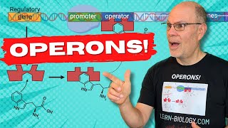 Unveiling the Mysteries of trp and lac Operonsin Rap [upl. by Adnamahs]