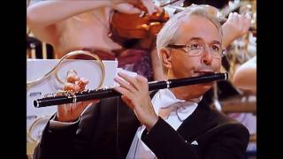 Andre Rieu amp JSO  quotLa Petite tonkinoisequot Teun Ramaekers  JSO fluteplayer [upl. by Holton]