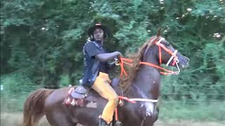 Southern Saddle Horses on the Race Track in Texas [upl. by Uahsoj257]