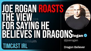 Joe Rogan ROASTS The View For Saying He BELIEVES IN DRAGONS He Changes His Twitter Bio [upl. by Lorianne]