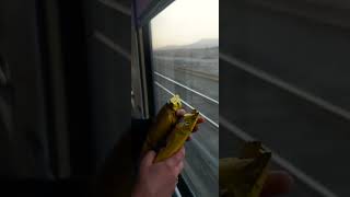 walking in the train and opening croissant  train asmr unbox [upl. by Barclay263]