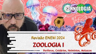 REVISÃO ENEM 2024  Zoologia I [upl. by Marybella833]