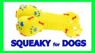 Dog Squeaky Toy  Sounds that attract dogs prankyourdog squeaky [upl. by Pretrice]