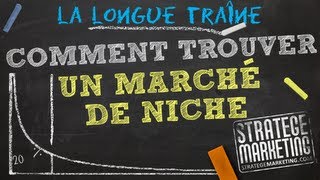 Trouver un marché de niche  la longue traîne [upl. by Ahpla]