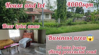 lot268 house and lot 4000sqm anao tarlac pwede mag business 50 mtrs frontge w fruit bearing tress [upl. by Leeda]